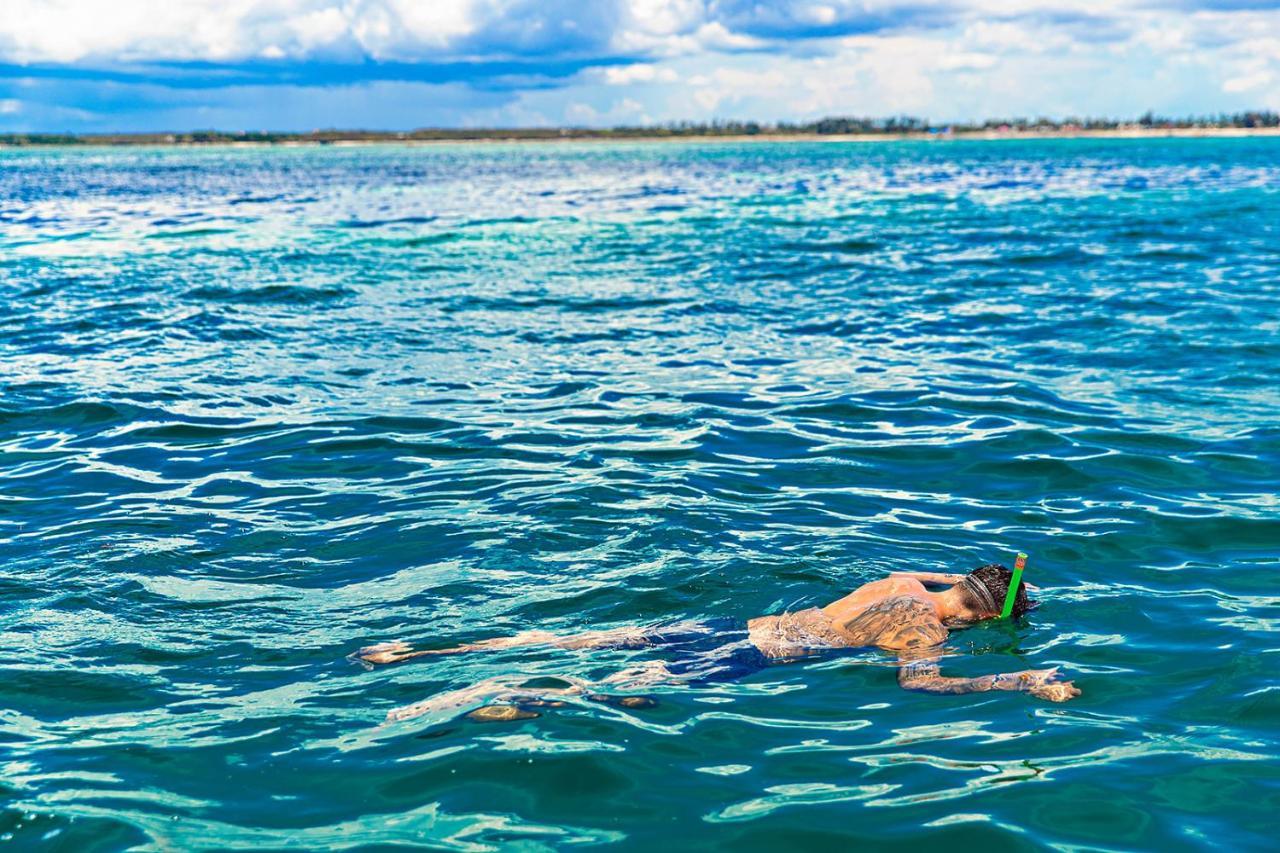 The Island - Pongwe Lodge (Adults Only) Eksteriør bilde