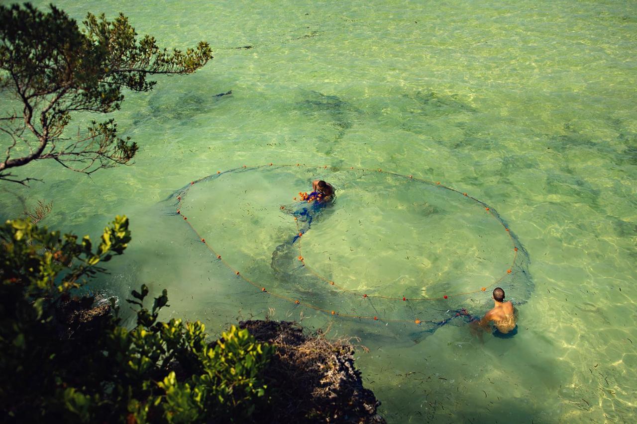 The Island - Pongwe Lodge (Adults Only) Eksteriør bilde