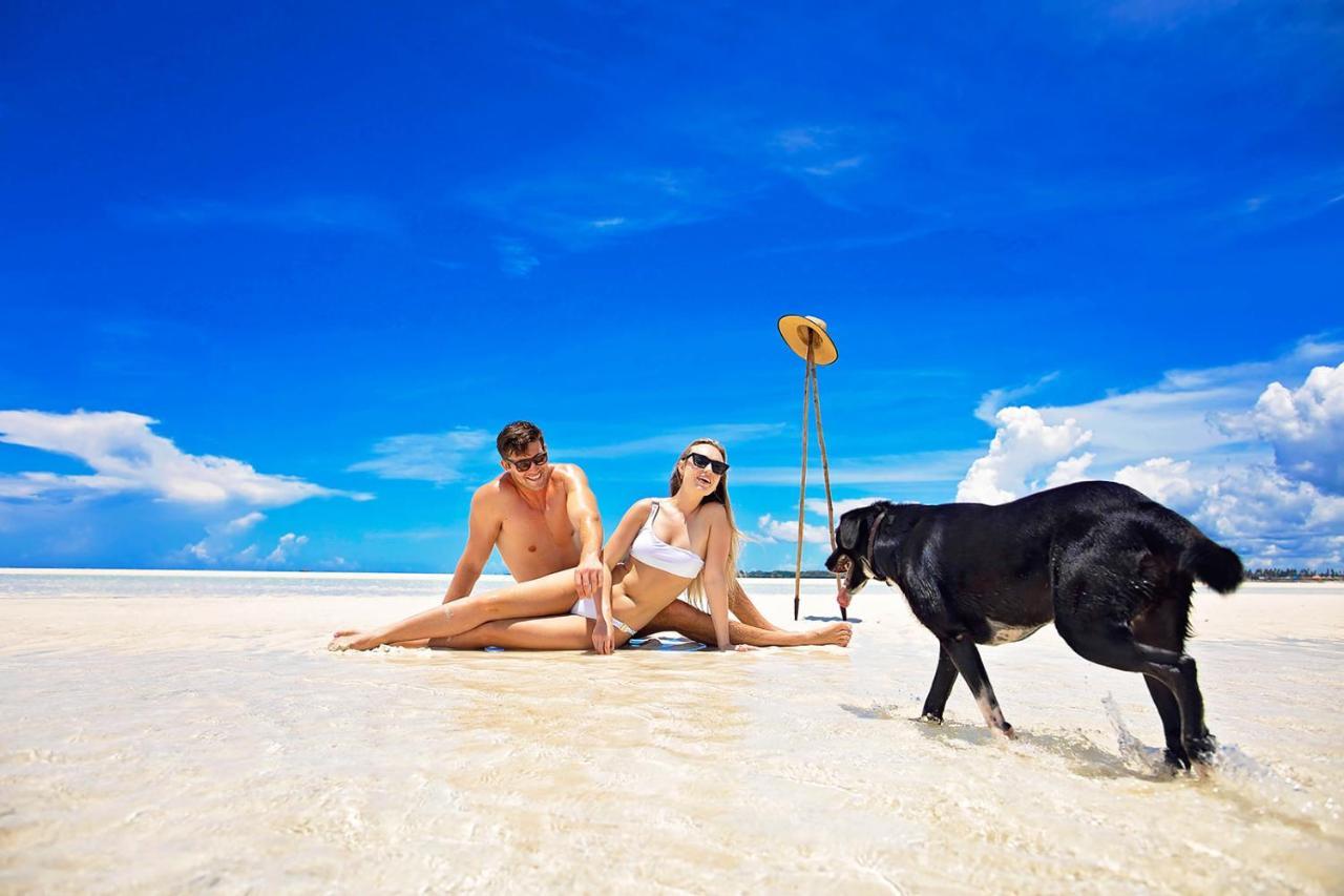 The Island - Pongwe Lodge (Adults Only) Eksteriør bilde