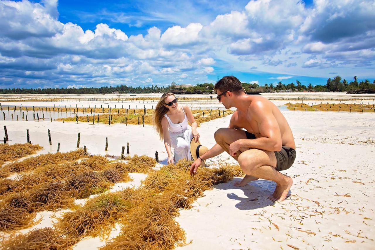 The Island - Pongwe Lodge (Adults Only) Eksteriør bilde