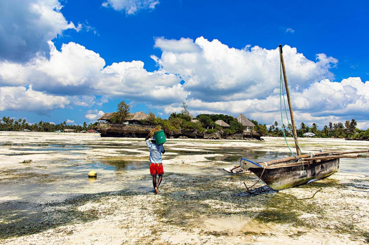 The Island - Pongwe Lodge (Adults Only) Eksteriør bilde